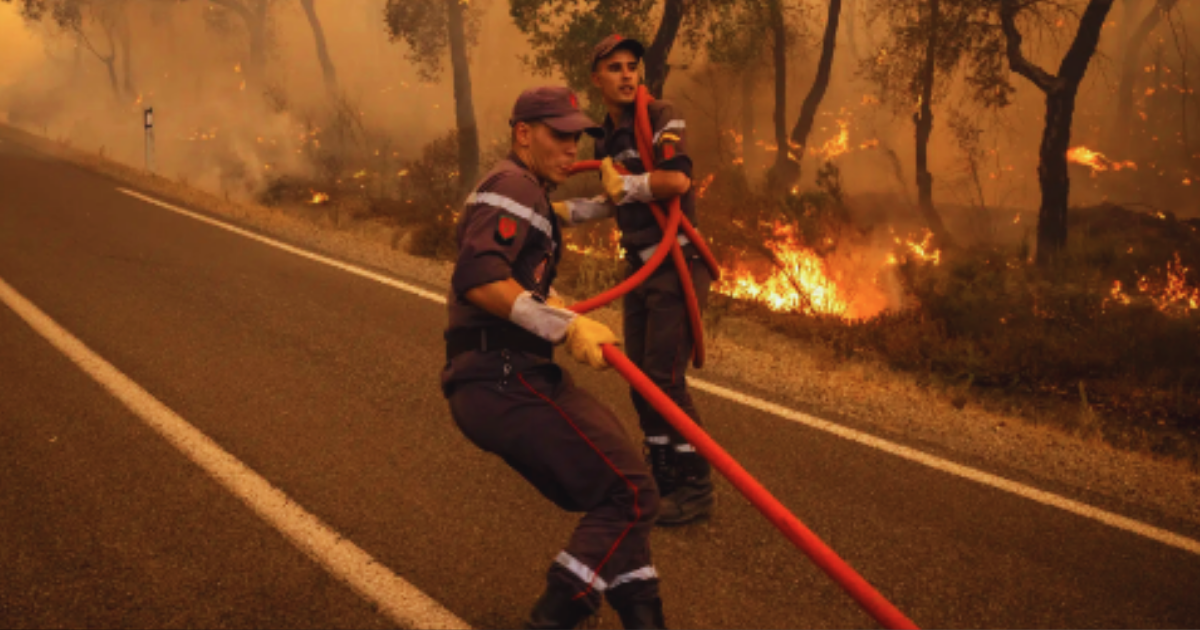 حرائق الغابات بالمغرب