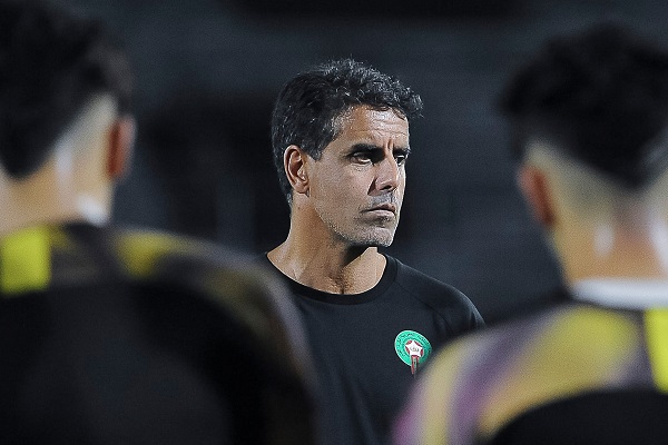 سعيد شيبا يستقيل