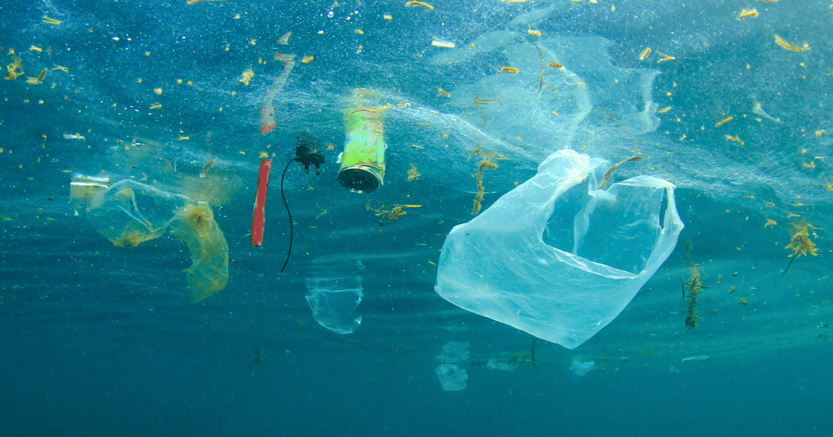 تنظيف السعيدية