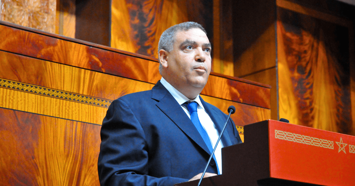 القياد الجدد