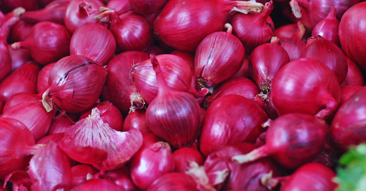 انخفاض أسعار البصل في المغرب