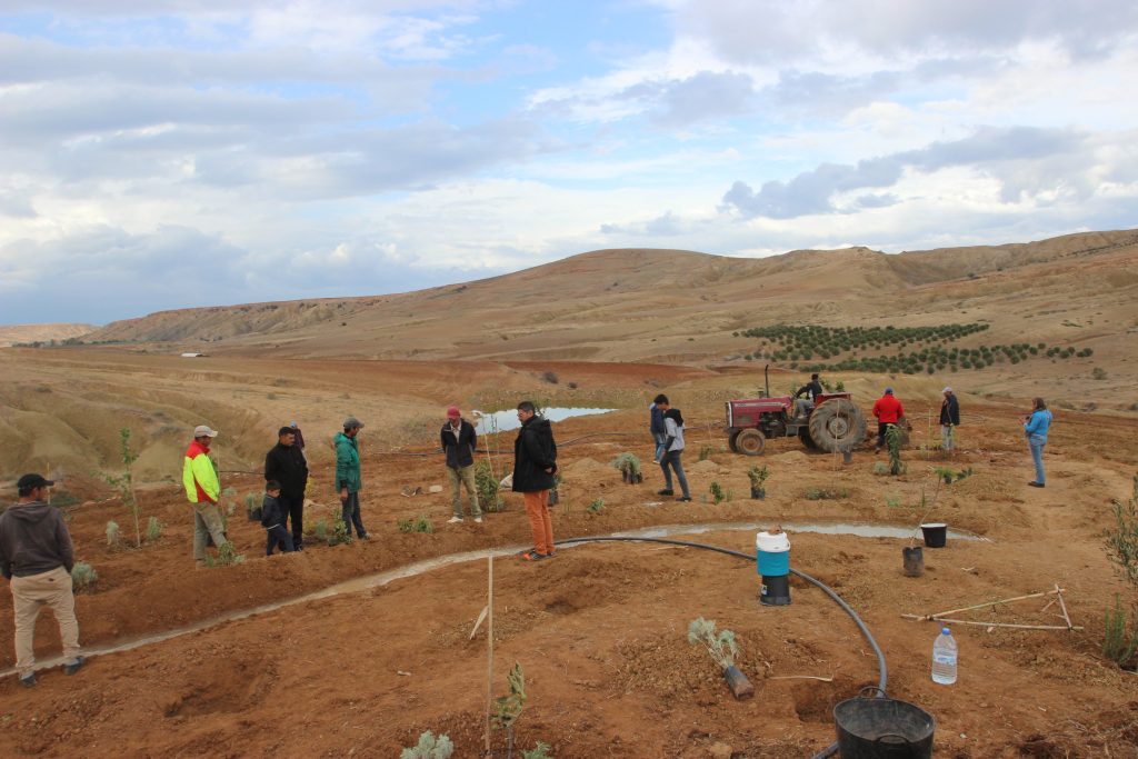 الضيعات الايكولوجية بيرما ريف