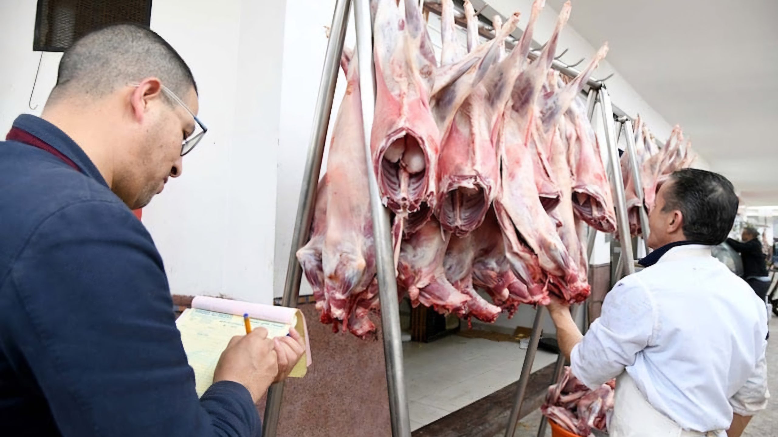 استيراد اللحوم